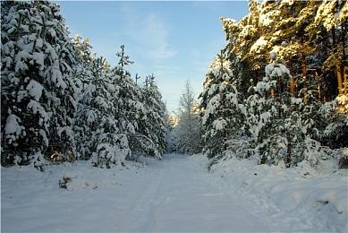 国服《FGO》将调整部分卡面和概念礼装 官方补偿100圣晶石