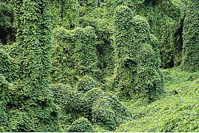 《毁灭战士：永恒》Steam新史低促销 标准版41元