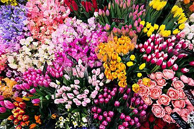 《空洞骑士：丝之歌》Steam预估销量超250万份